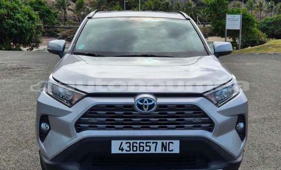 Acheter Occasion Voiture Toyota RAV4 Gris à Noumea, Sud Acheter Occasion Voiture Toyota RAV4 Gris à Noumea, Sud