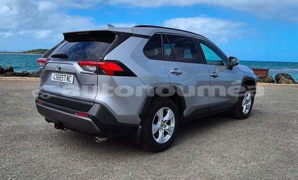 Acheter Occasion Voiture Toyota RAV4 Gris à Noumea, Sud Acheter Occasion Voiture Toyota RAV4 Gris à Noumea, Sud