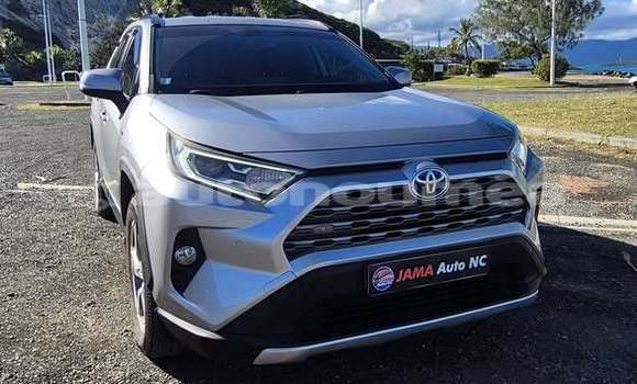 Acheter Occasion Voiture Toyota RAV4 Gris à Noumea, Sud Acheter Occasion Voiture Toyota RAV4 Gris à Noumea, Sud