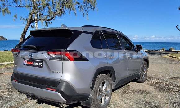 Acheter Occasion Voiture Toyota RAV4 Gris à Noumea, Sud Acheter Occasion Voiture Toyota RAV4 Gris à Noumea, Sud