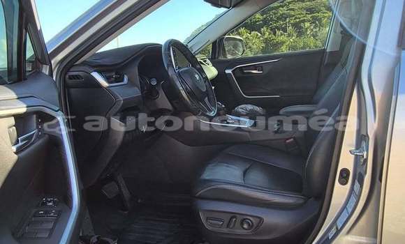 Acheter Occasion Voiture Toyota RAV4 Gris à Noumea, Sud Acheter Occasion Voiture Toyota RAV4 Gris à Noumea, Sud