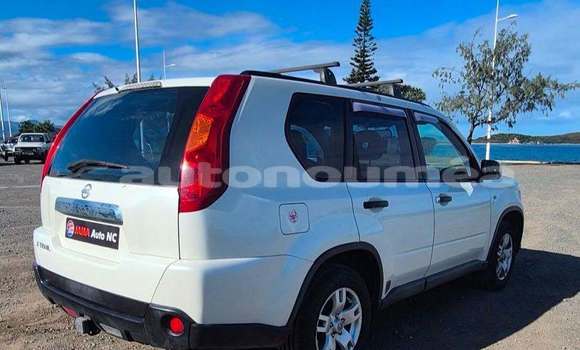 Acheter Occasion Voiture Nissan Xtrail Blanc à Noumea, Sud Acheter Occasion Voiture Nissan Xtrail Blanc à Noumea, Sud
