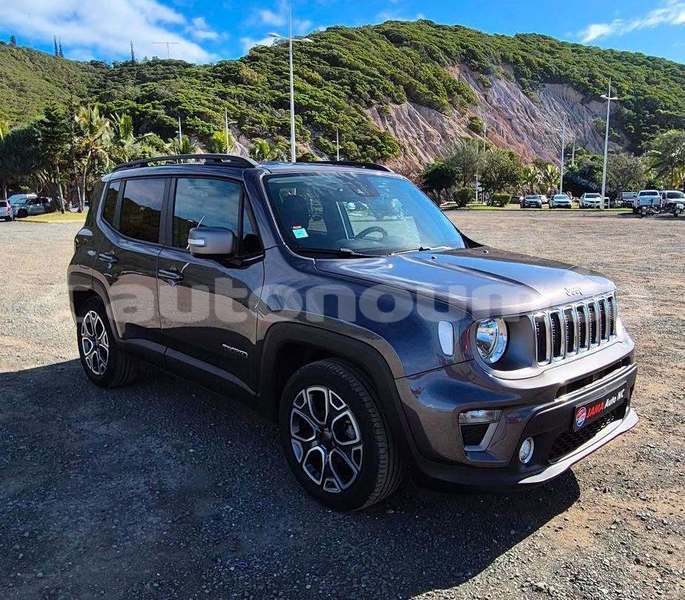 Big with watermark jeep renegade sud noumea 5136