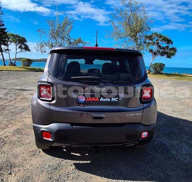 Big with watermark jeep renegade sud noumea 5136