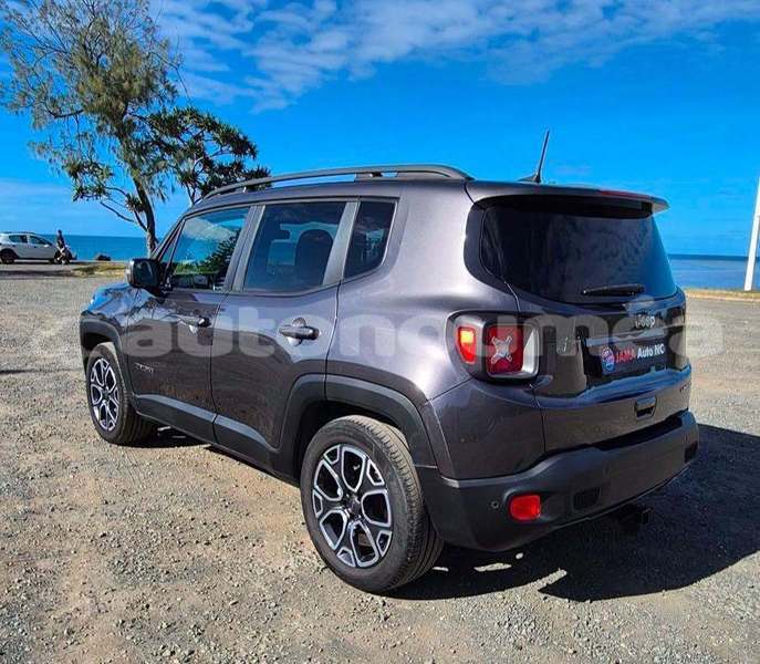 Big with watermark jeep renegade sud noumea 5136