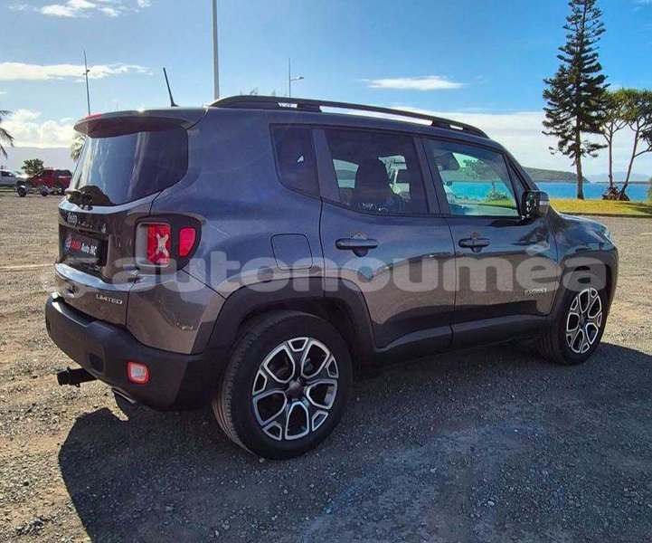 Big with watermark jeep renegade sud noumea 5136