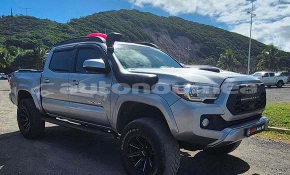 Acheter Occasion Voiture Toyota Tacoma Gris à Noumea, Sud