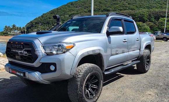 Acheter Occasion Voiture Toyota Tacoma Gris à Noumea, Sud Acheter Occasion Voiture Toyota Tacoma Gris à Noumea, Sud