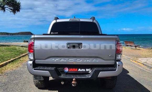 Acheter Occasion Voiture Toyota Tacoma Gris à Noumea, Sud Acheter Occasion Voiture Toyota Tacoma Gris à Noumea, Sud