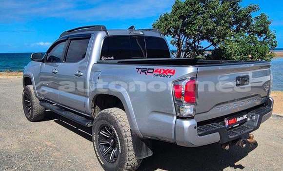 Acheter Occasion Voiture Toyota Tacoma Gris à Noumea, Sud Acheter Occasion Voiture Toyota Tacoma Gris à Noumea, Sud
