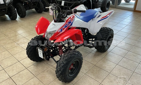 Acheter Neuf Moto Honda TRX Autre à Ouegoa, Nord Acheter Neuf Moto Honda TRX Autre à Ouegoa, Nord