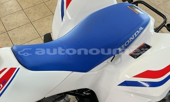 Acheter Neuf Moto Honda TRX Autre à Ouegoa, Nord Acheter Neuf Moto Honda TRX Autre à Ouegoa, Nord