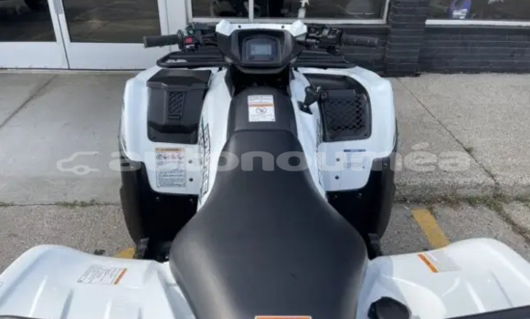 Buy New Kawasaki Brute Force White Bike in La Foa in Sud Buy New Kawasaki Brute Force White Bike in La Foa in Sud