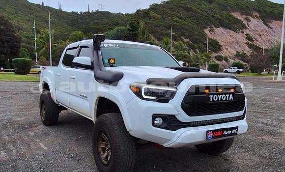 Acheter Occasion Voiture Toyota Tacoma Blanc à Noumea, Sud