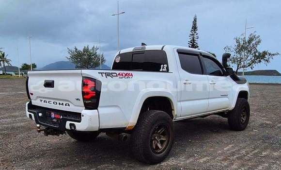 Acheter Occasion Voiture Toyota Tacoma Blanc à Noumea, Sud Acheter Occasion Voiture Toyota Tacoma Blanc à Noumea, Sud