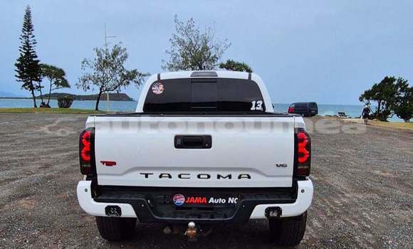 Acheter Occasion Voiture Toyota Tacoma Blanc à Noumea, Sud Acheter Occasion Voiture Toyota Tacoma Blanc à Noumea, Sud
