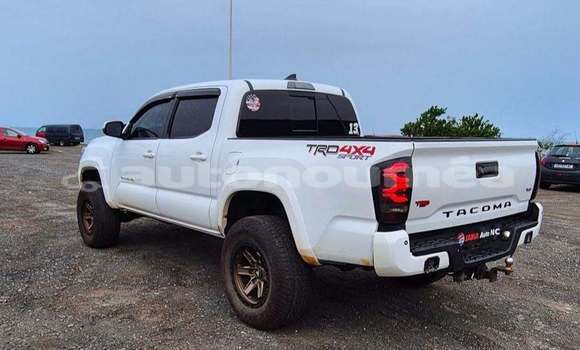 Acheter Occasion Voiture Toyota Tacoma Blanc à Noumea, Sud Acheter Occasion Voiture Toyota Tacoma Blanc à Noumea, Sud