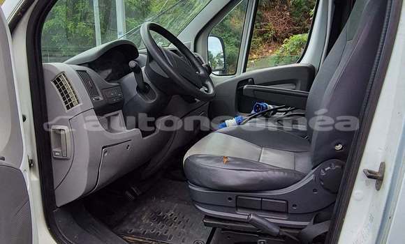 Buy Used Citroen Jumper White Truck in Noumea in Sud Buy Used Citroen Jumper White Truck in Noumea in Sud