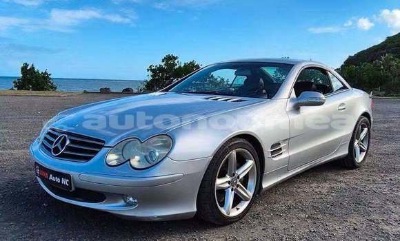 Acheter Occasion Voiture Mercedes-Benz 190 SL Gris à Noumea, Sud