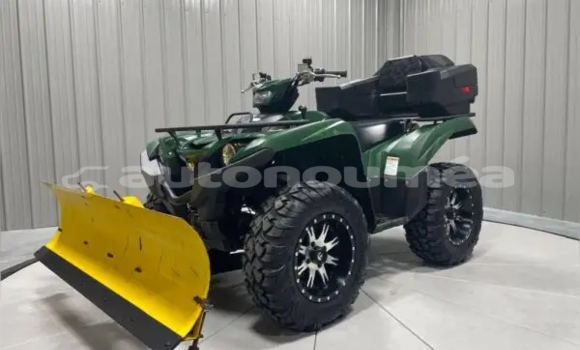 Acheter Neuf Moto Yamaha Grizzly Vert à Hienghene, Nord