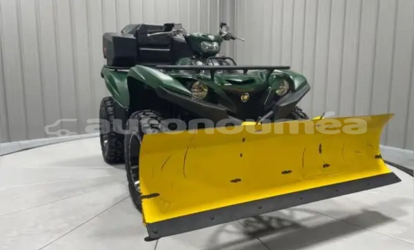 Buy New Yamaha Grizzly Green Bike in Hienghene in Nord Buy New Yamaha Grizzly Green Bike in Hienghene in Nord