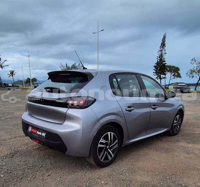 Big with watermark peugeot 208 sud noumea 5177