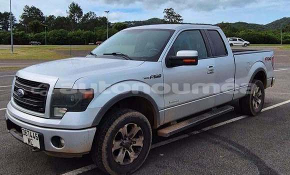 Acheter Occasion Voiture Ford F–150 Gris à Noumea, Sud