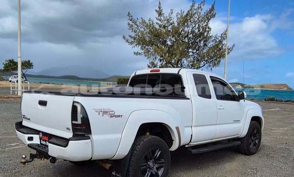 Acheter Occasion Voiture Toyota Tacoma Blanc à Noumea, Sud Acheter Occasion Voiture Toyota Tacoma Blanc à Noumea, Sud