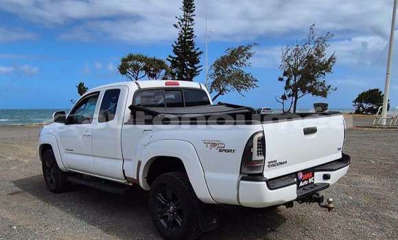 Acheter Occasion Voiture Toyota Tacoma Blanc à Noumea, Sud Acheter Occasion Voiture Toyota Tacoma Blanc à Noumea, Sud