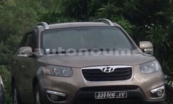 Buy Used Hyundai Santa Other Car in Poindimie in Nord