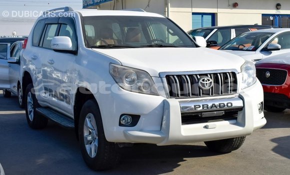 Acheter Import Voiture Toyota Prado Blanc à Import - Dubai, Iles Acheter Import Voiture Toyota Prado Blanc à Import - Dubai, Iles