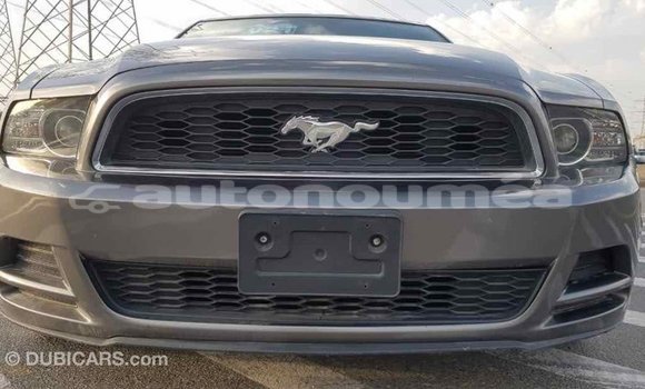 Acheter Import Voiture Ford Mustang Autre à Import - Dubai, Iles Acheter Import Voiture Ford Mustang Autre à Import - Dubai, Iles