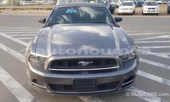 Acheter Import Voiture Ford Mustang Autre à Import - Dubai, Iles Acheter Import Voiture Ford Mustang Autre à Import - Dubai, Iles
