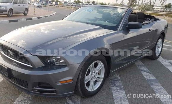 Acheter Import Voiture Ford Mustang Autre à Import - Dubai, Iles Acheter Import Voiture Ford Mustang Autre à Import - Dubai, Iles
