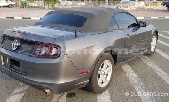 Acheter Import Voiture Ford Mustang Autre à Import - Dubai, Iles Acheter Import Voiture Ford Mustang Autre à Import - Dubai, Iles