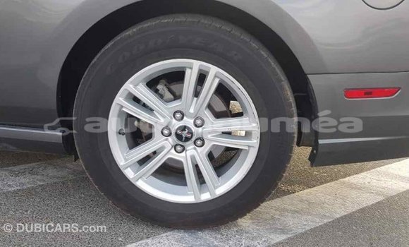 Acheter Import Voiture Ford Mustang Autre à Import - Dubai, Iles Acheter Import Voiture Ford Mustang Autre à Import - Dubai, Iles