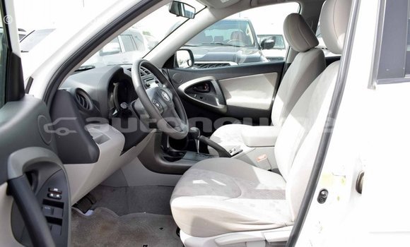 Medium with watermark 9738b2a6 1079 4f47 97a0 9b19a978d58e