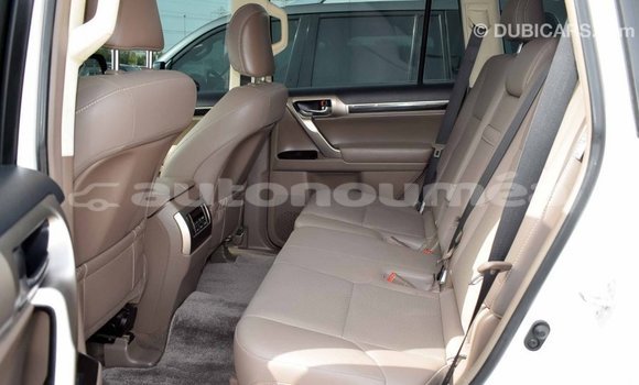 Buy Import Lexus GX White Car in Import - Dubai in Iles Buy Import Lexus GX White Car in Import - Dubai in Iles