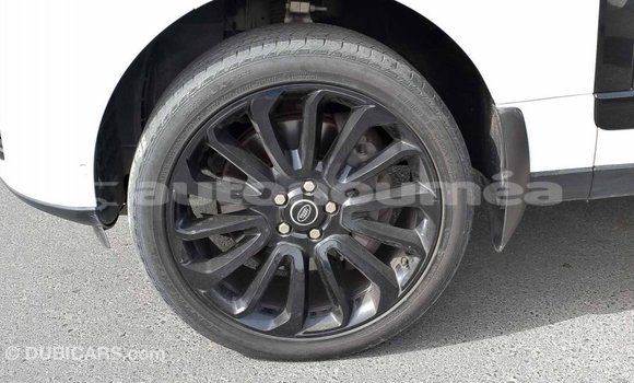Medium with watermark bcdce028 2288 4ed8 92ad 6261c5236565