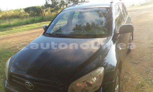 Acheter Occasion Voiture Toyota RAV4 Autre à Voh, Nord