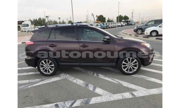 Acheter Import Utilitaire Toyota HiAce Autre à Import - Dubai, Iles Acheter Import Utilitaire Toyota HiAce Autre à Import - Dubai, Iles