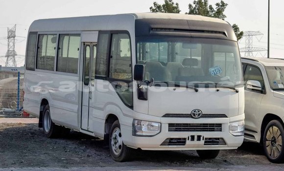 Buy Import Toyota Coaster White Car in Import - Dubai in Iles Buy Import Toyota Coaster White Car in Import - Dubai in Iles