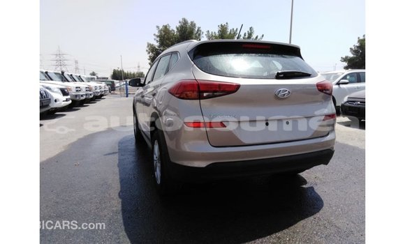 Buy Import Kia Sportage Black Car in Import - Dubai in Iles Buy Import Kia Sportage Black Car in Import - Dubai in Iles