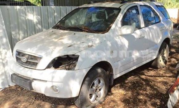 Buy Used Kia Sorento White Car in Kaala Gomen in Nord