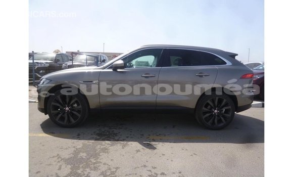 Acheter Import Voiture Jaguar F-Pace Autre à Import - Dubai, Iles Acheter Import Voiture Jaguar F-Pace Autre à Import - Dubai, Iles