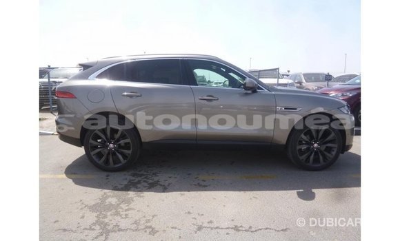 Acheter Import Voiture Jaguar F-Pace Autre à Import - Dubai, Iles Acheter Import Voiture Jaguar F-Pace Autre à Import - Dubai, Iles