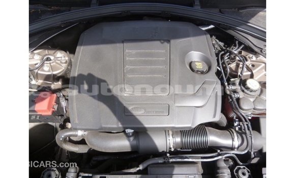 Buy Import Land Rover Range Rover Brown Car in Import - Dubai in Iles Buy Import Land Rover Range Rover Brown Car in Import - Dubai in Iles