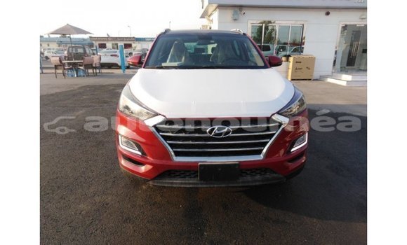 Buy Import Hyundai Tucson Red Car in Import - Dubai in Iles Buy Import Hyundai Tucson Red Car in Import - Dubai in Iles