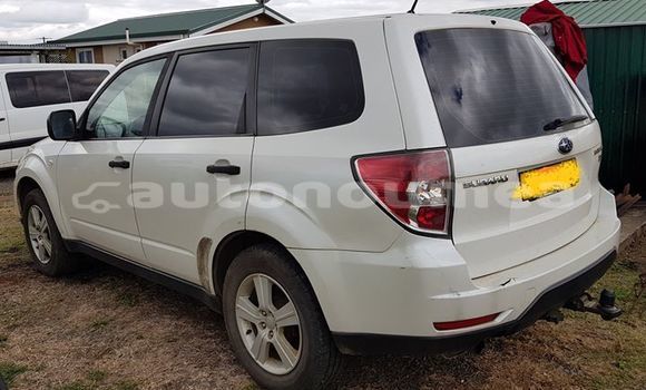 Buy Used Subaru Forrester White Car in Pouembout in Nord