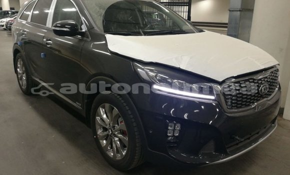 Buy Import Kia Sorento Brown Car in Import - Dubai in Iles Buy Import Kia Sorento Brown Car in Import - Dubai in Iles